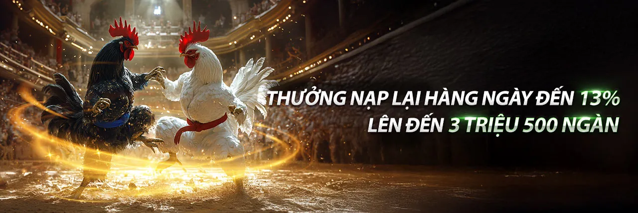 Ưu đãi đá gà fu88 khuyến mãi
